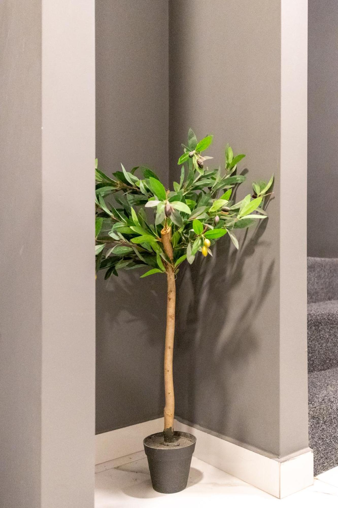 Athenian Boutique Apartments Kültér fotó